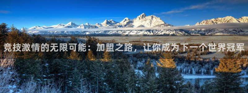 探球体育即时比分：竞技激情的无限可能：加盟之路，让你成为下一个世界冠军