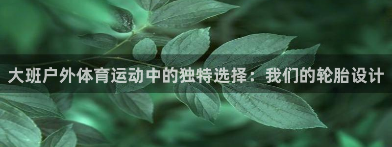 探球体育：大班户外体育运动中的独特选择：我们的轮胎设计