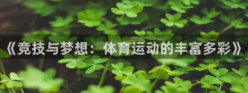 探球体育比分即时比分：《竞技与梦想：体育运动的丰富多彩》