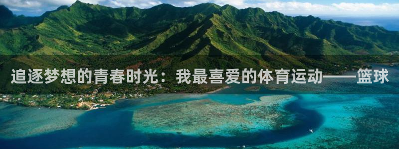 探球体育app官网下载：追逐梦想的青春时光：我最喜爱的体育运动——篮球