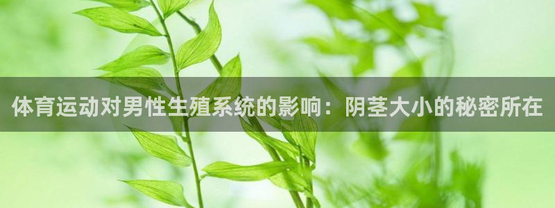 探球体育足球即时比分：体育运动对男性生殖系统的影响：阴茎大小的秘密所在