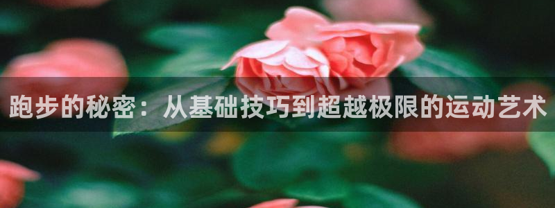 探球体育比分即时比分：跑步的秘密：从基础技巧到超越极限的运动艺术