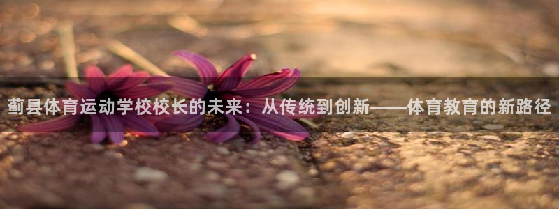 探球体育比分：蓟县体育运动学校校长的未来：从传统到创新——体育教育的新路径